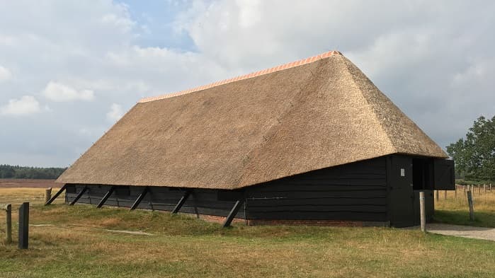 Different Types of Thatched Roofs – Complete Guide